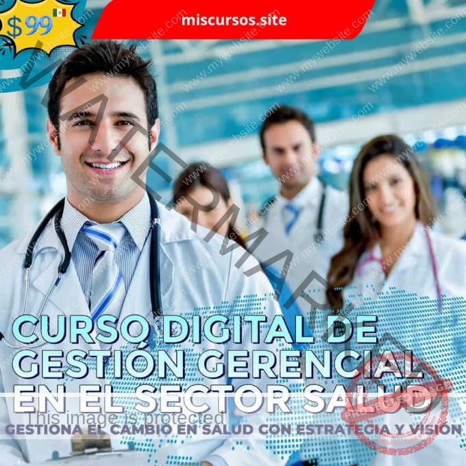 Curso Digital de Gestión Gerencial en el Sector Salud