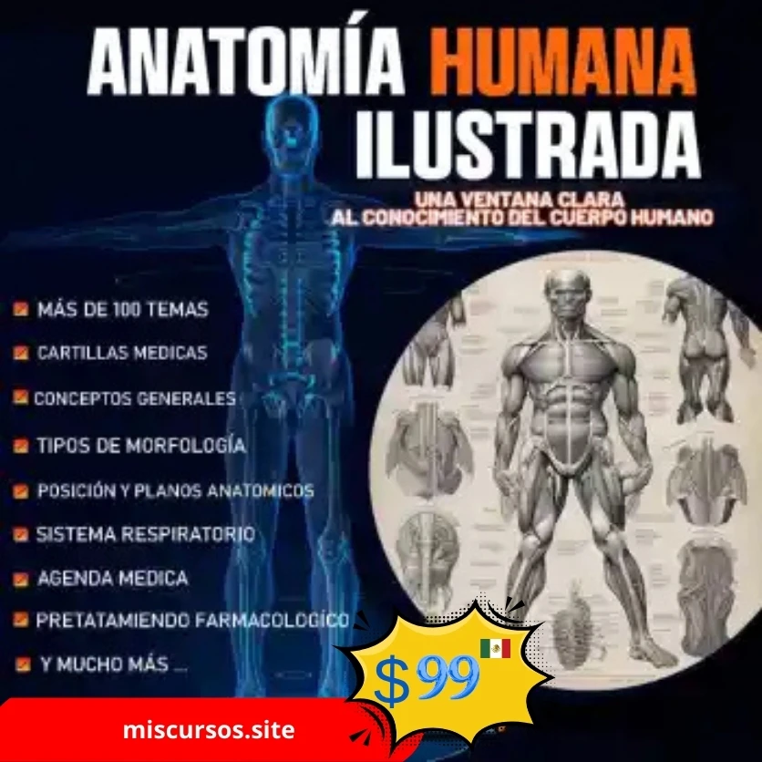 Anatomía Humana Ilustrada