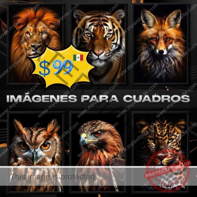 Imágenes exclusivas y súper organizadas